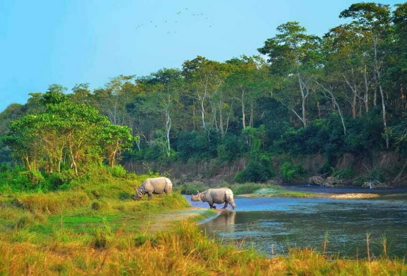 Kathmandu/Pokhara: 3 Day Chitwan Jungle Safari Tour - FAQ