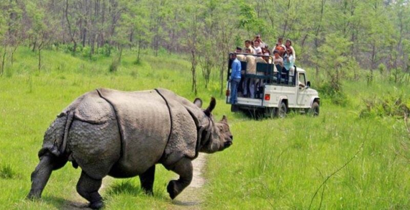 Kathmandu Pokhara Chitwan Luxury Family Tour - White-water Rafting on Trishuli River
