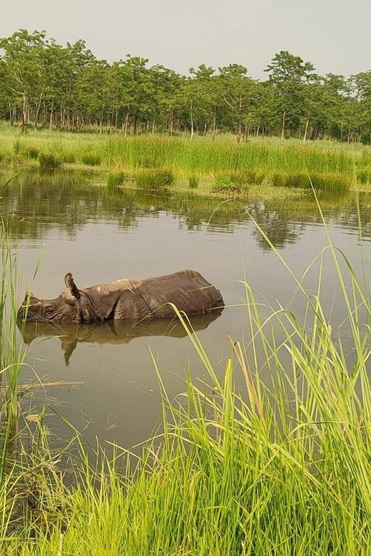 Kathmandu, Pokhara & Chitwan Tour (Budget, Standard, Luxury) - Accommodation Options