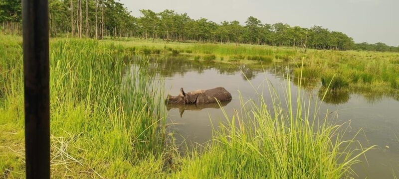 Kathmandu, Pokhara & Chitwan Tour (Budget, Standard, Luxury) - Budget Plan