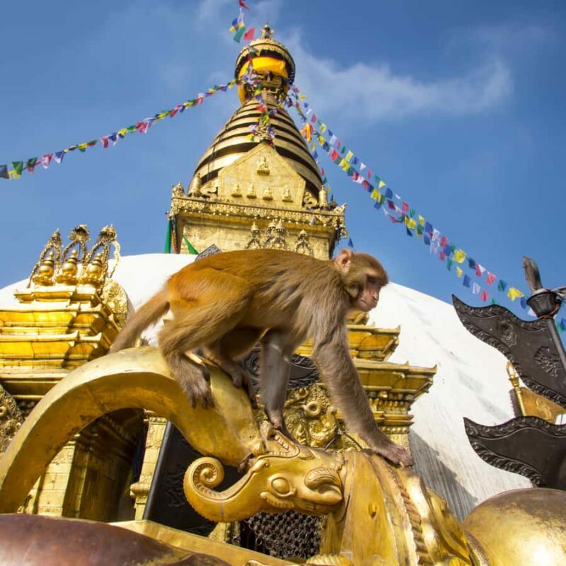 Kathmandu: Private/Group Tour to 7 UNESCO Sites with Lunch - The Sum Up