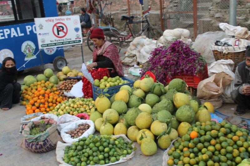 Kathmandu: Private Nepali Cooking Class (Dal Bhat and MoMo) - Key Points