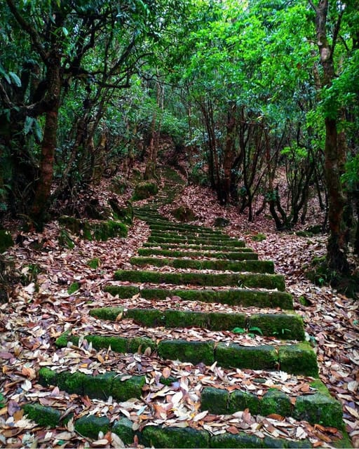Kathmandu: Scenic Shivapuri National Park Hiking - Key Points
