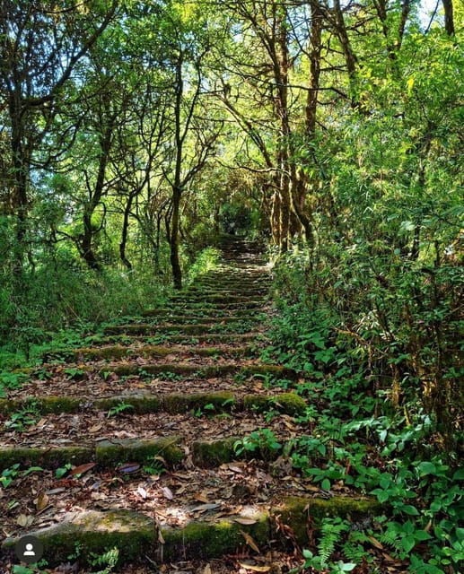 Kathmandu: Scenic Shivapuri National Park Hiking - Pickup and Drop-off Locations
