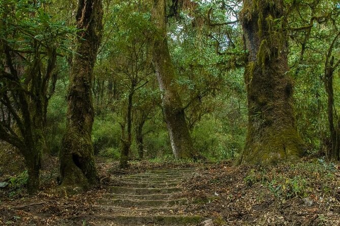 Kathmandu Shivapuri National Park and Nagarkot Hiking - 3 Days - Pickup and Transportation
