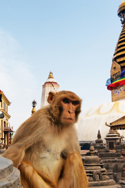 Kathmandu Sightseeing Tour With Private Car and Guide - Itinerary Highlights