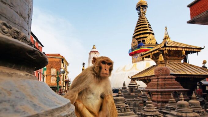 Kathmandu Sightseeing Tour With Private Car and Guide - Tour Experience