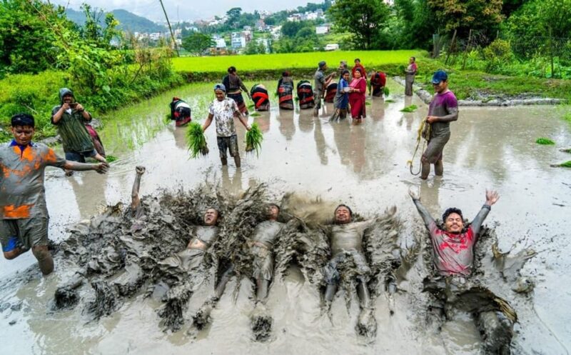 Kathmandu: the Mud and the Miracle,Paddy Plantation Festival - Key Points