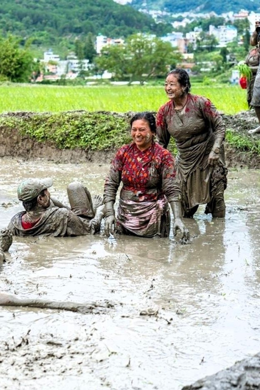 Kathmandu: the Mud and the Miracle,Paddy Plantation Festival - Booking Information