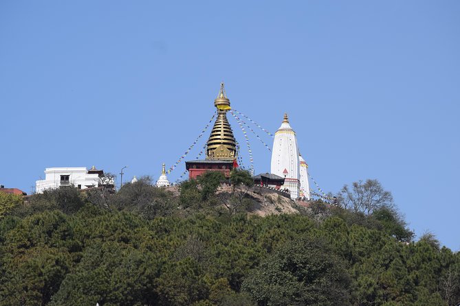 Kathmandu World Heritage Full Day Culture Tour - Traveler Experience and Feedback