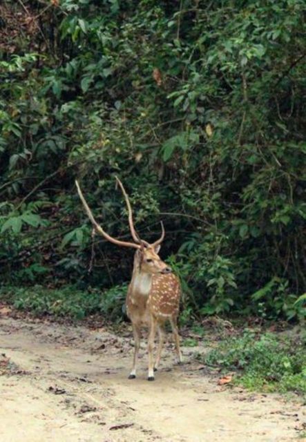 Kathmandu:3-Days Chitwan Jungle Safari Tour All Inclusive - Preparation and Essentials