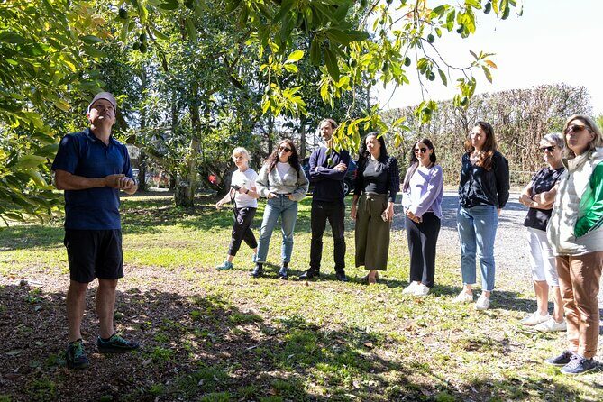 Katikati Avocado Adventure - Key Points