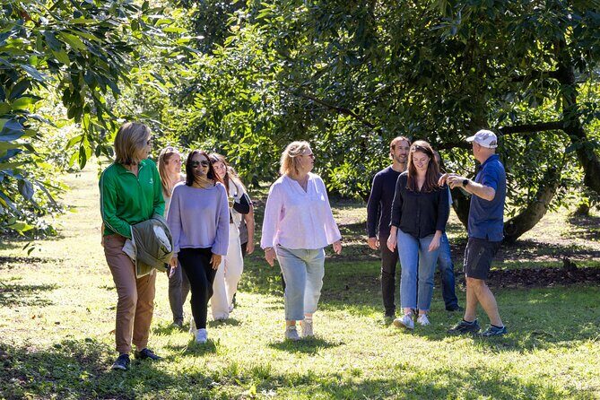 Katikati Gourmet Avocado Tasting - An In-Depth Look at the Tour
