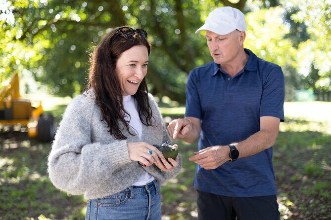 Katikati Gourmet Avocado Tasting - Who Should Book This Tour?