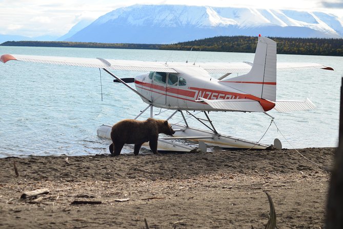 Katmai Brooks Falls Bear Experience - Bear Viewing and Photography Opportunities