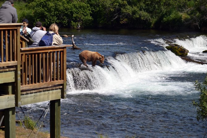 Katmai Brooks Falls Bear Experience - Considerations for Travelers