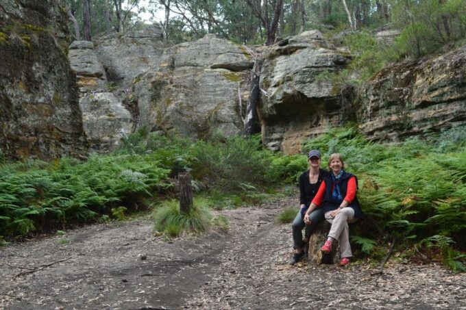 Katoomba/Leura: Blue Mountains Guided Day Tour With Lunch - National Park Exploration