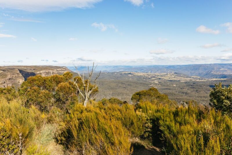 Katoomba: Lyrebird Hop-On Hop-Off and Scenic World Pass - Pass Inclusions