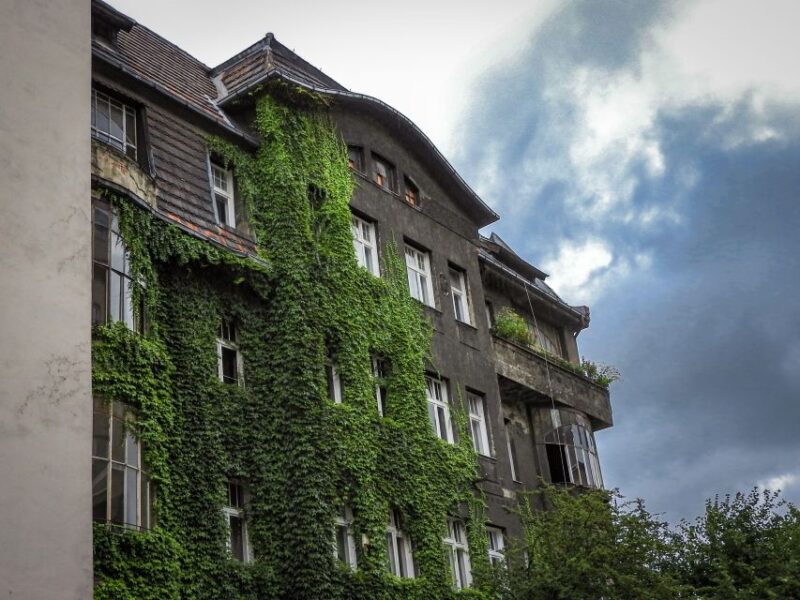 Katowice: Express Walk With a Local in 60 Minutes - Whats Included and Excluded