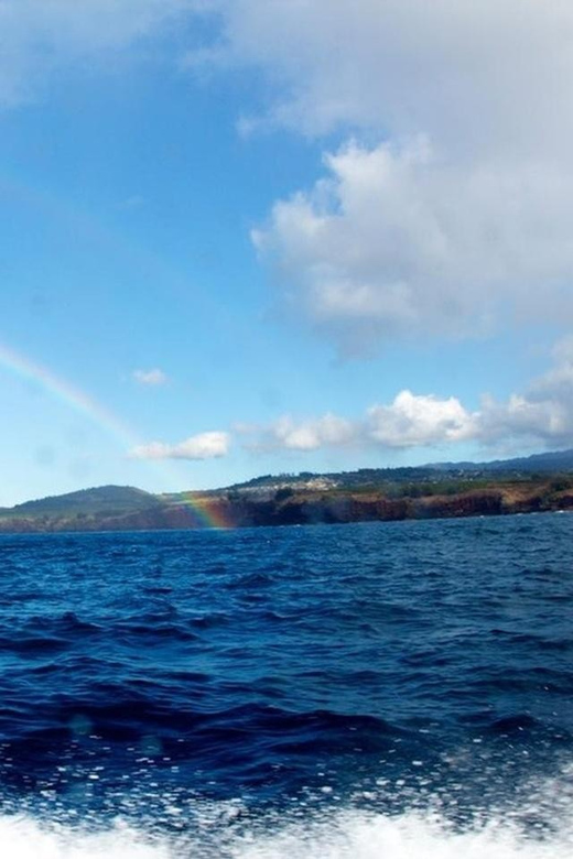 Kauai: 3-Tank Boat Dive for Certified Divers - Exploring Ambers Arches Dive Site