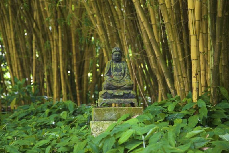 Kauai: Allerton Garden and Estate Tour With Sunset Dinner - Important Details