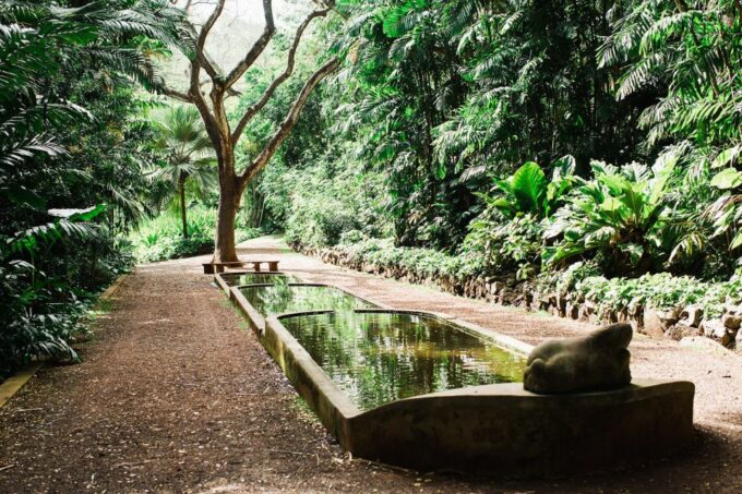 Kauai: Allerton Garden and Estate Tour With Sunset Dinner - Sunset Dinner Experience