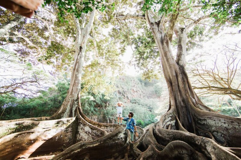 Kauai: Allerton Garden Guided Group Walking Tour - Experience Highlights