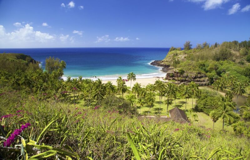 Kauai: Allerton Garden Guided Group Walking Tour - Tour Inclusions