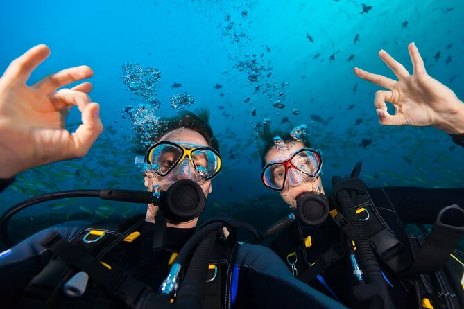 Kauai Boat Dive for Non-Certified Scuba Divers - Key Points