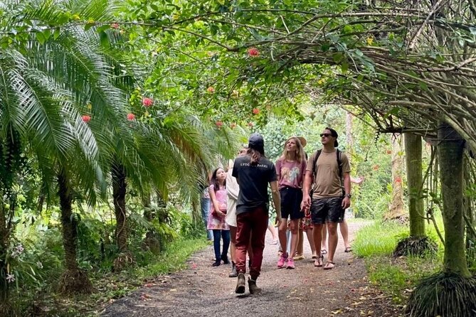 Kauai Chocolate Farm Tasting Tour - Exploring the Botanical Gardens