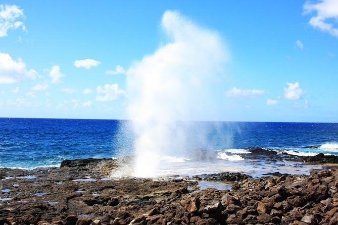 Kauai Cruise Ship Shore Excursion Journey to Waimea Canyon - Additional Tour Information