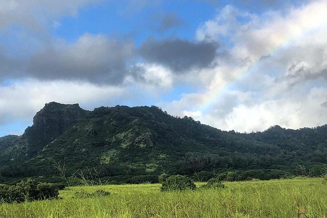 Kauai East Side and North Shore Private Guided Tour - Reviews and Ratings