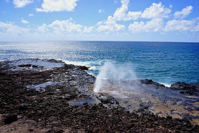 Kauai Full Day Tour with Cruise ships or Kauai Airport Pickup - Why This Tour Works Well