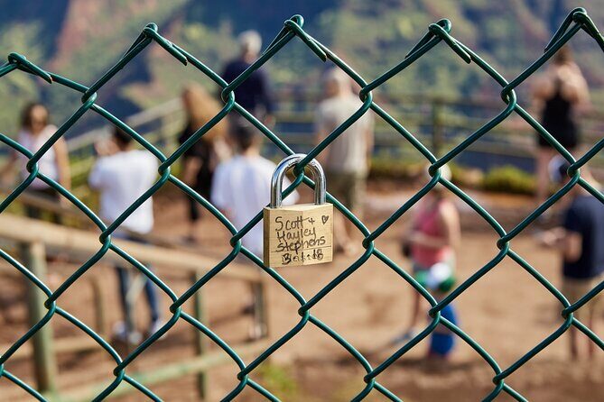 Kauai Full Day Tour with Cruise ships or Kauai Airport Pickup - What to Expect: Transportation, Group Size, and Timing