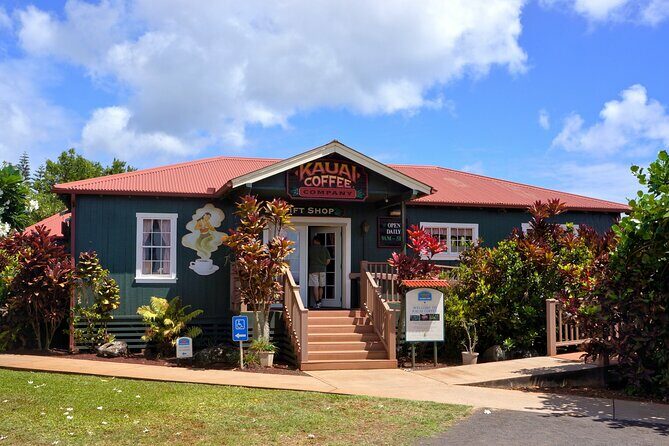 Kauai Full Day Tour with Cruise ships or Kauai Airport Pickup - Final Thoughts: Who Should Consider This Tour?