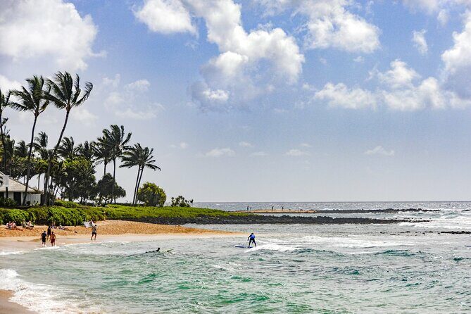 Kauai Full Day Tour with Cruise ships or Kauai Airport Pickup - FAQ