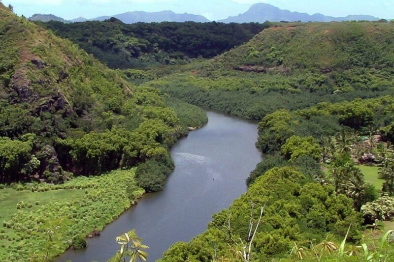Kauai: Full-Day Tour With Fern Grotto River Cruise - Pickup and Itinerary Details
