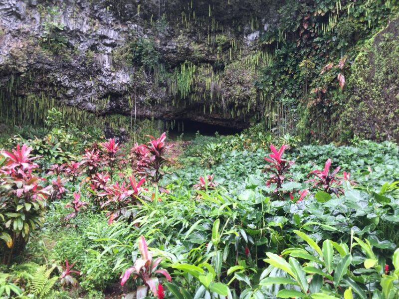 Kauai: Full-Day Tour With Fern Grotto River Cruise - Inclusions and Exclusions