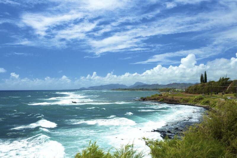 Kauai: Full-Day Tour With Fern Grotto River Cruise - Cultural Immersion and Entertainment