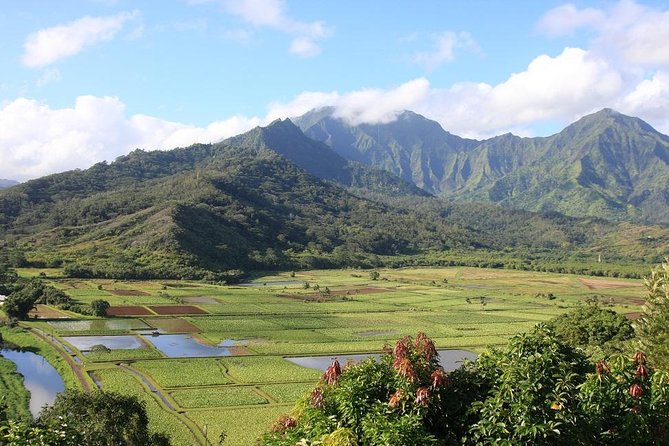 Kauai: Hawaii Movie Tours - Pickup and Timing