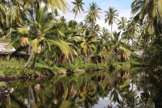 Kauai: Hawaii Movie Tours - Tales From the Set