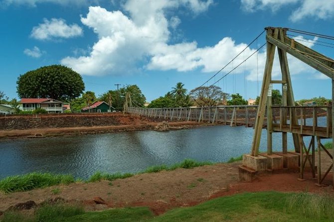 Kauai Highlights Small Group Tour. a Taste of the South & West - Accessibility and Policies