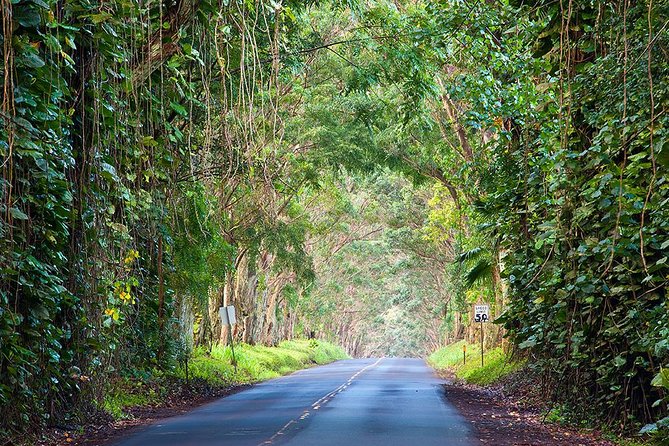 Kauai Highlights Small Group Tour. a Taste of the South & West - Convenient Pick-up and Drop-off Locations