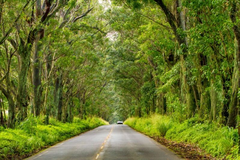 Kauai: Island Highlights Self-Guided Audio Driving Tour - Preparing for the Tour