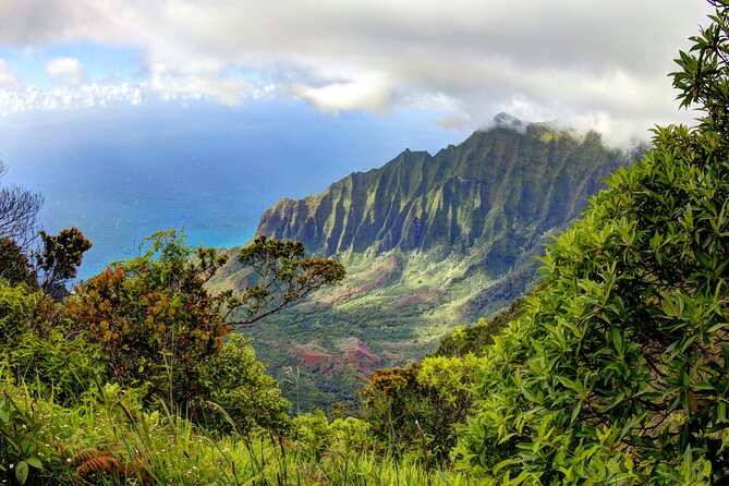 Kauai Island Private Guided Tour-Waimea Canyon From Lihue/Kapaa - Whats Included