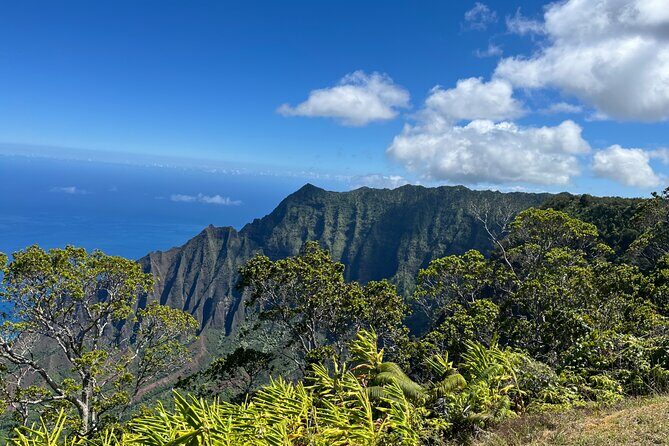 Kauai Island Private Guided Tour-Waimea Canyon from Princeville - Koke’e State Park and Lunch at Kokee Lodge