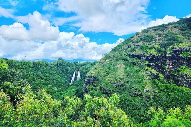 Kauai Island Private Guided Tour-Waimea Canyon from Princeville - Kauai Coffee Company