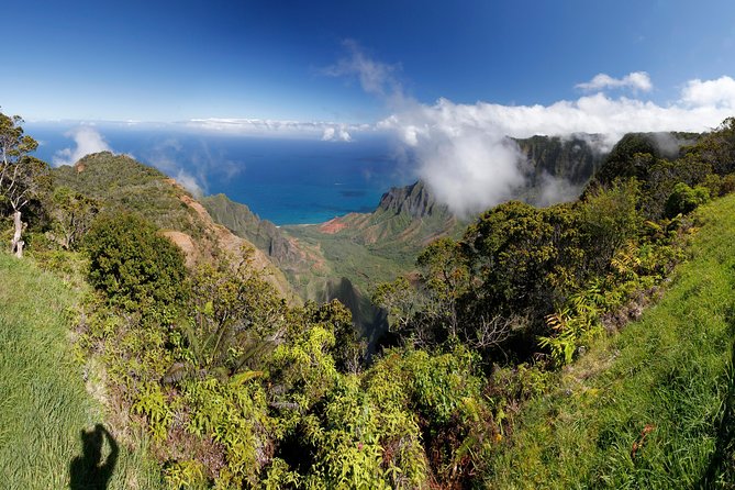 Kauai Island - Private Tour : Waimea Canyon and Southside - Tour Inclusions
