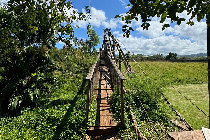 Kauai Island Tour : Journey to Waimea Canyon & More Highlights - Meeting and Pickup Information
