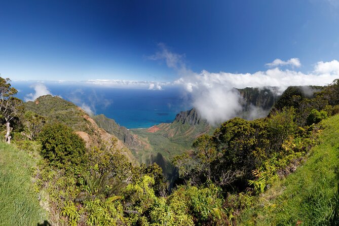 Kauai Island Tour : Journey to Waimea Canyon & More Highlights - Tour Guides and Storytelling